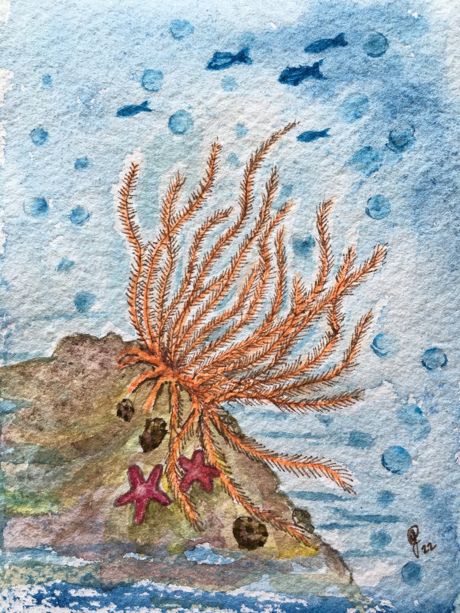 Undersea feather star painting 