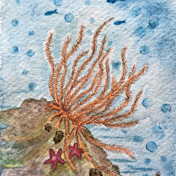Undersea feather star painting 