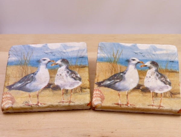 Marble 'Seagull' Coasters