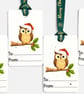 Set of 4 Plantable Christmas Gift Tags, Wildflower Seed Paper, Festive Owl Tags - Image 5