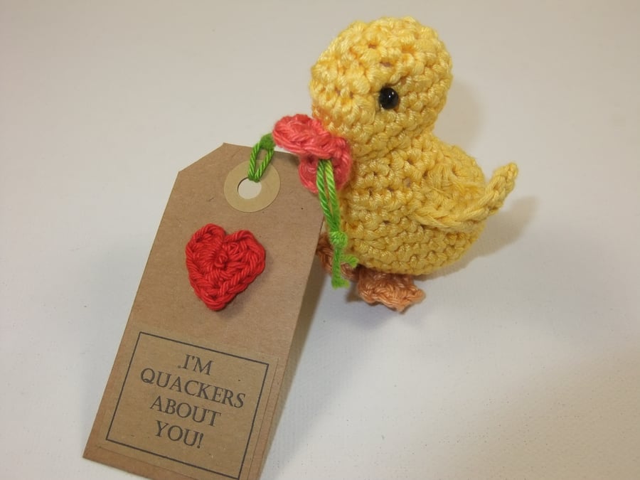 Valentine's Duckling!