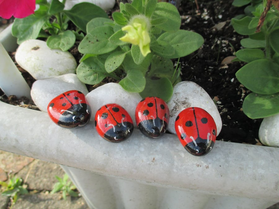 SALE Painted Pebble Rock Stone Ladybird x 4 Pot Topper Garden Ornament Fairy 3