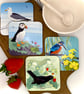 Spring Birds Hardback Eco Coasters - Choose any of 2 - Image 4