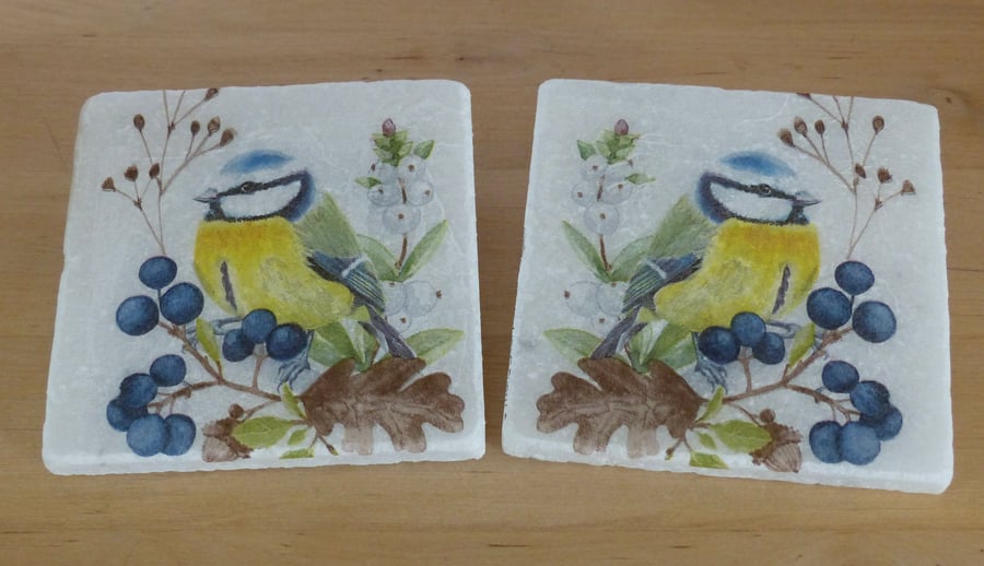Marble 'Blue Tit' Coasters
