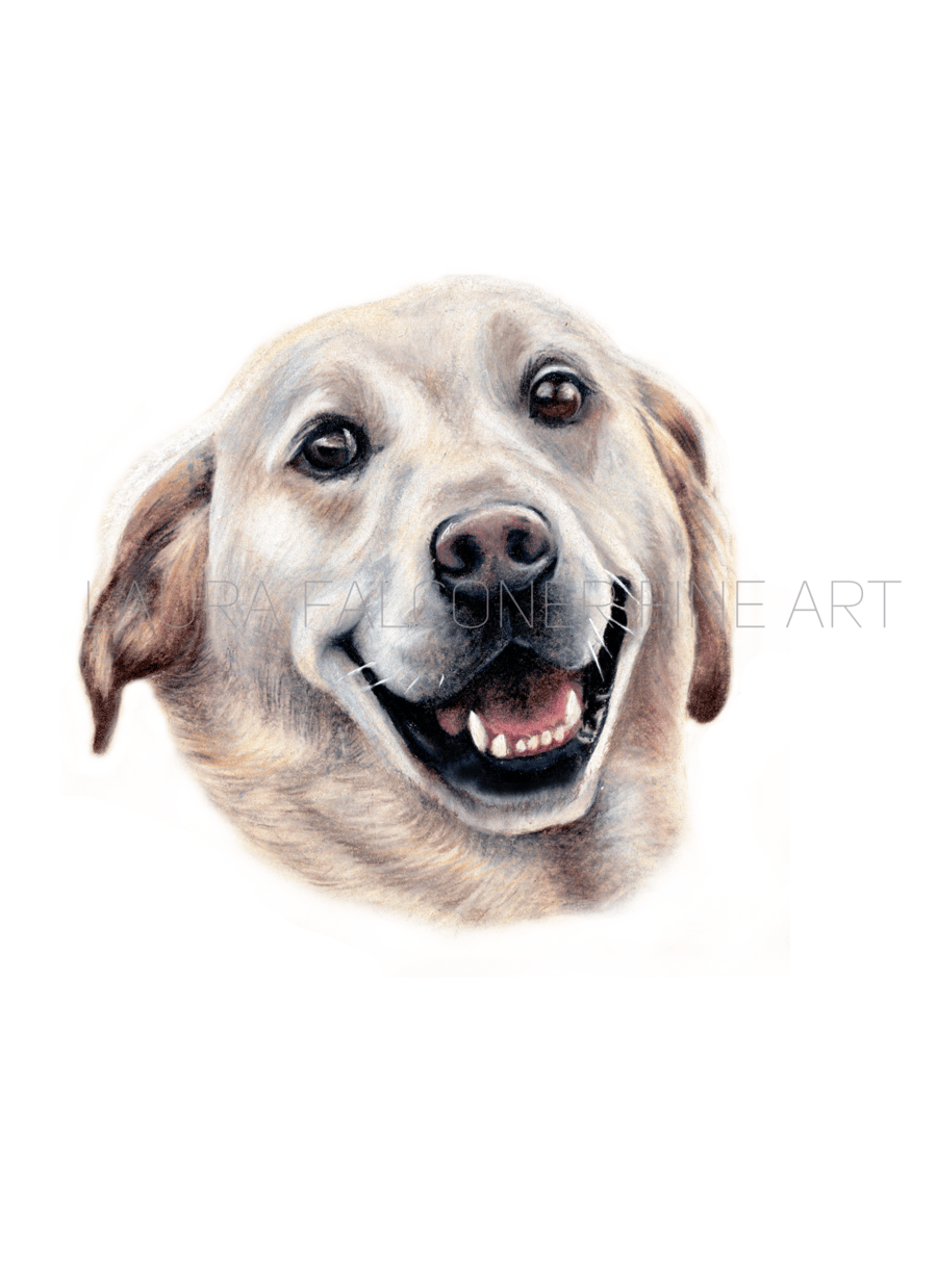 Golden Labrador "Walter" Fine Art Giclee Print