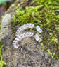 Sterling silver stud earrings - Image 2