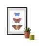 Butterfly Collection A5 Digital Print - Image 3