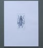Original Mini Print Beetle  - Image 2