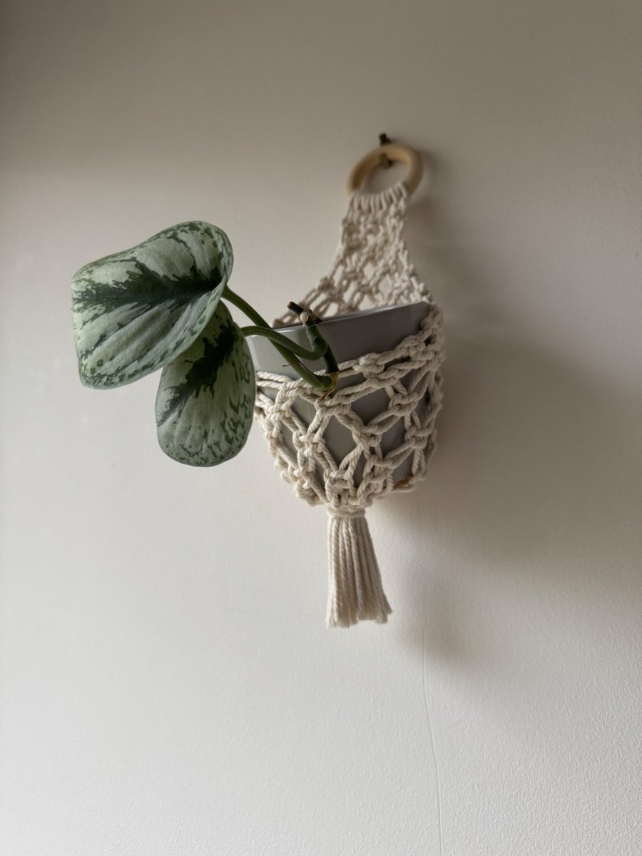 Macrame Basket Plant Hanger