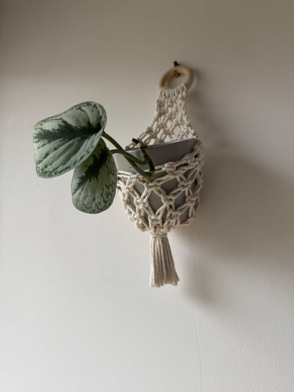 Macrame Basket Plant Hanger