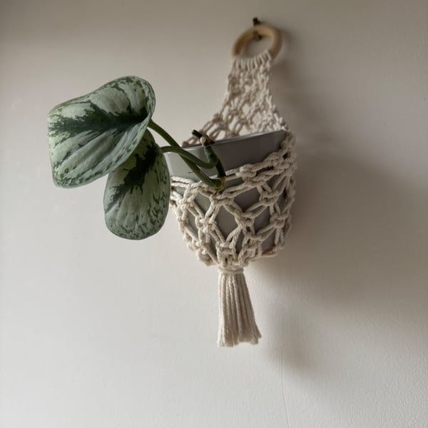 Macrame Basket Plant Hanger