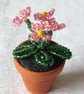 Miniature Yellow or Pink Beaded Primula  - Image 6