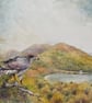 Malvern Sparrowhawk. Framed Original Watercolour by Christopher Hughes 