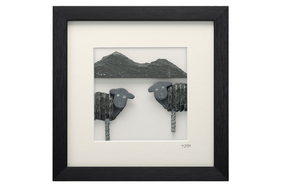 Herdwick Lambs by Catbells