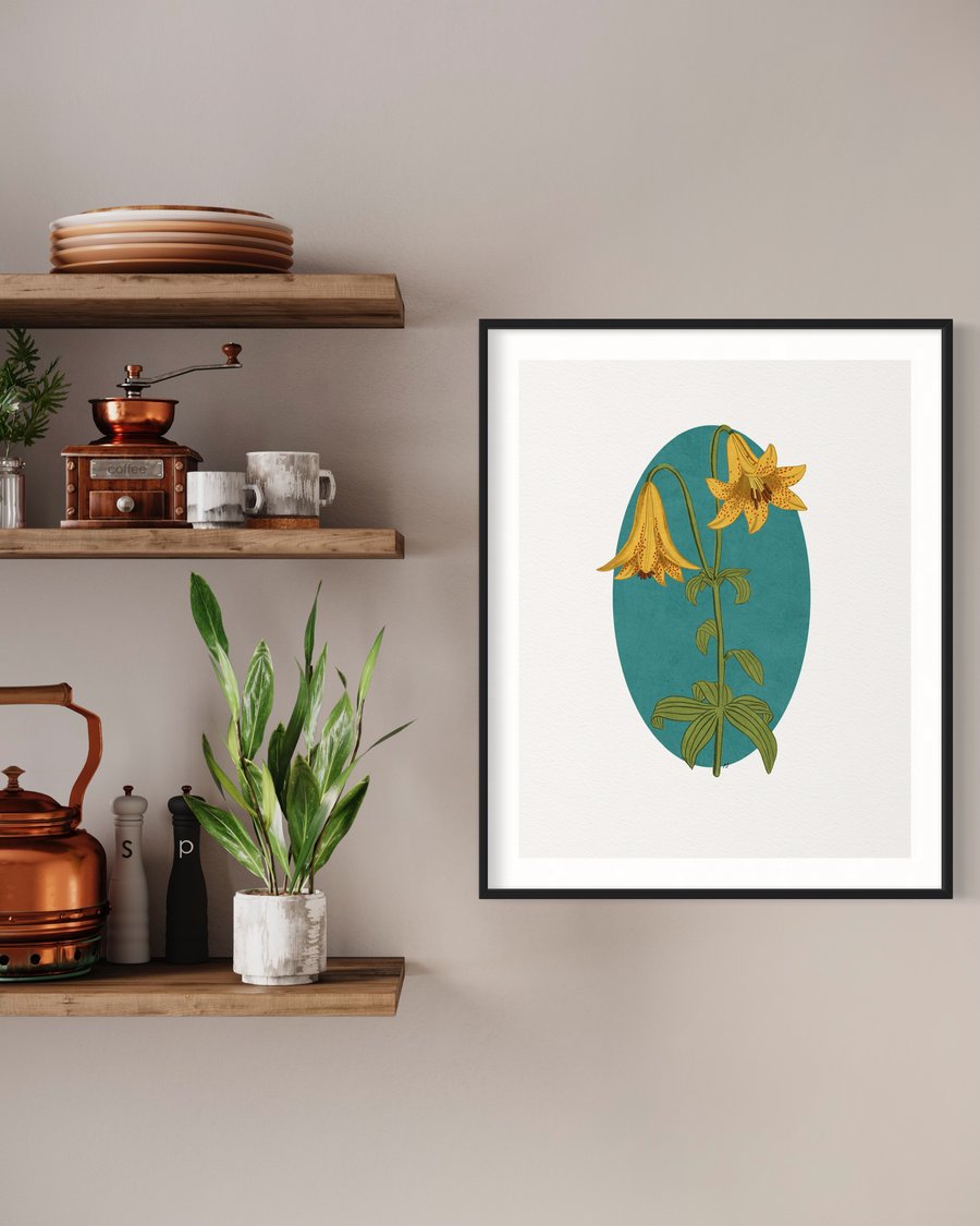Wild Yellow Lily Illustration Art Print