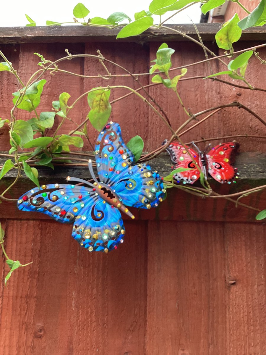 Butterfly’s garden decorations