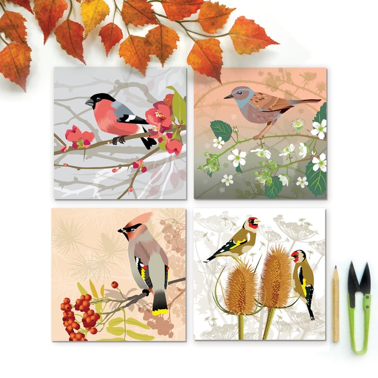 British Birds Autumn Collection - pack of four cards