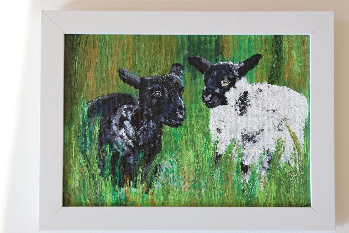 Fermanagh Lambs Acrylic Painting