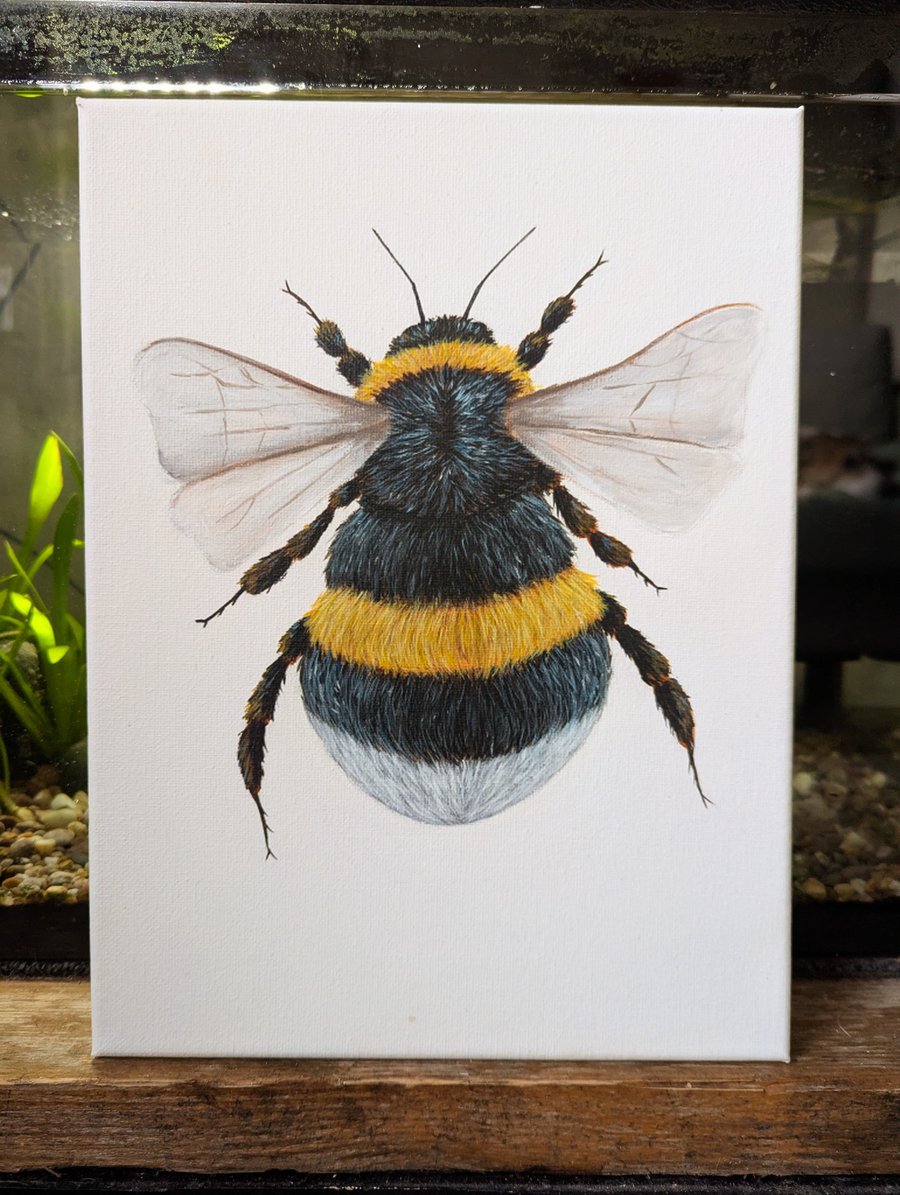White-Tailed Bumblebee Painting