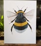White-Tailed Bumblebee Painting - Image 1