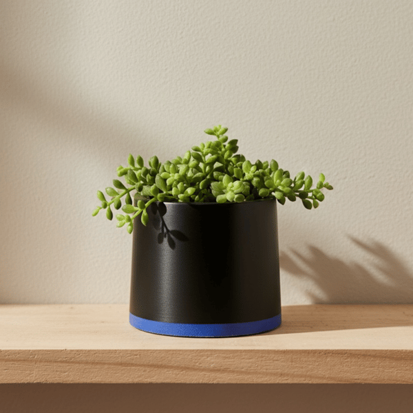Small 7.5 cm Black and Prussian Blue Plant Pot Indoor Succulent Planter