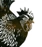 Hen 2-colour linocut print - Image 2