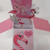 Ladies Birthday Card with Flamingos