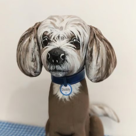 Fully Personalised Chinese Crested 