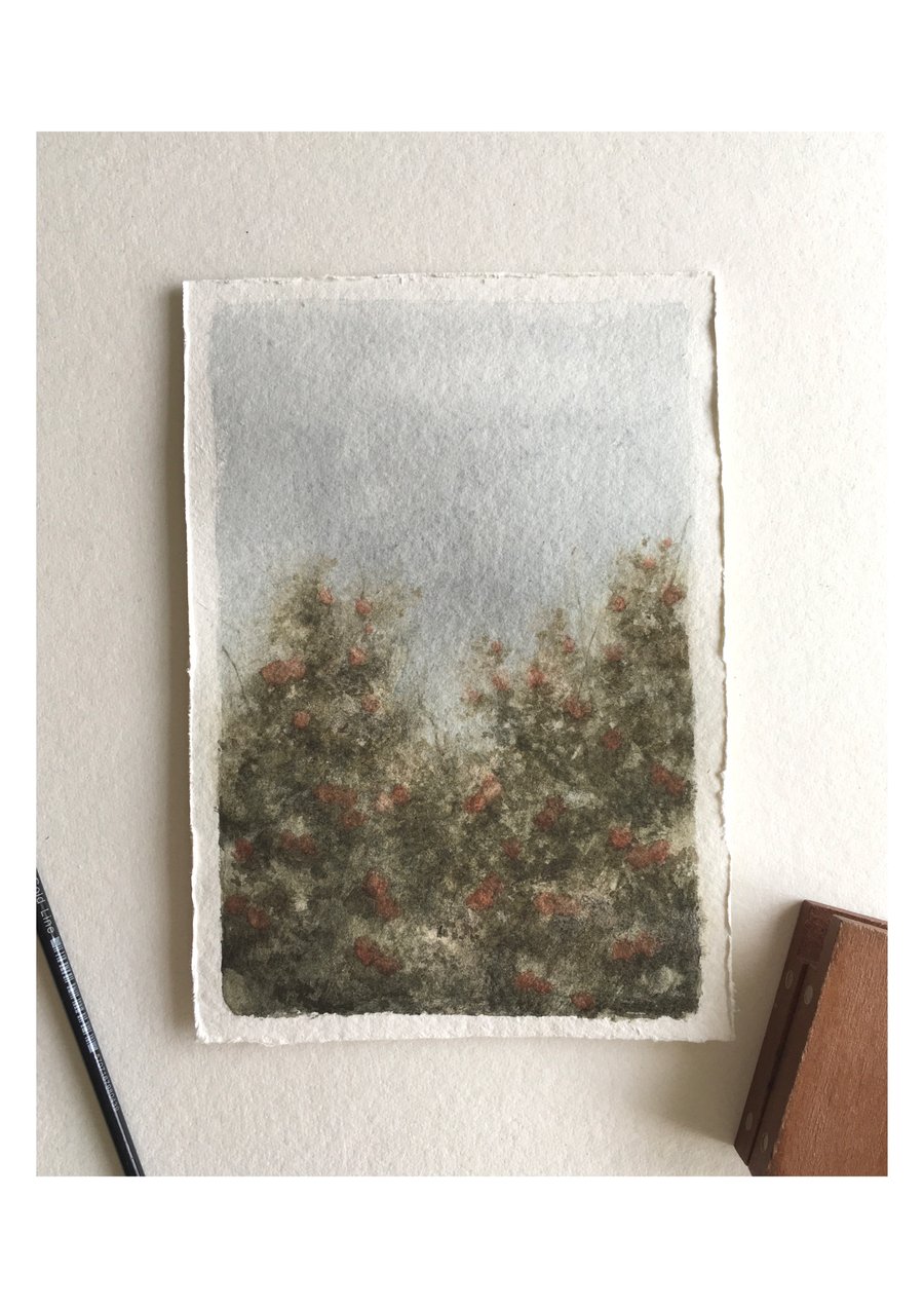 Pink hydrangea original watercolour painting 