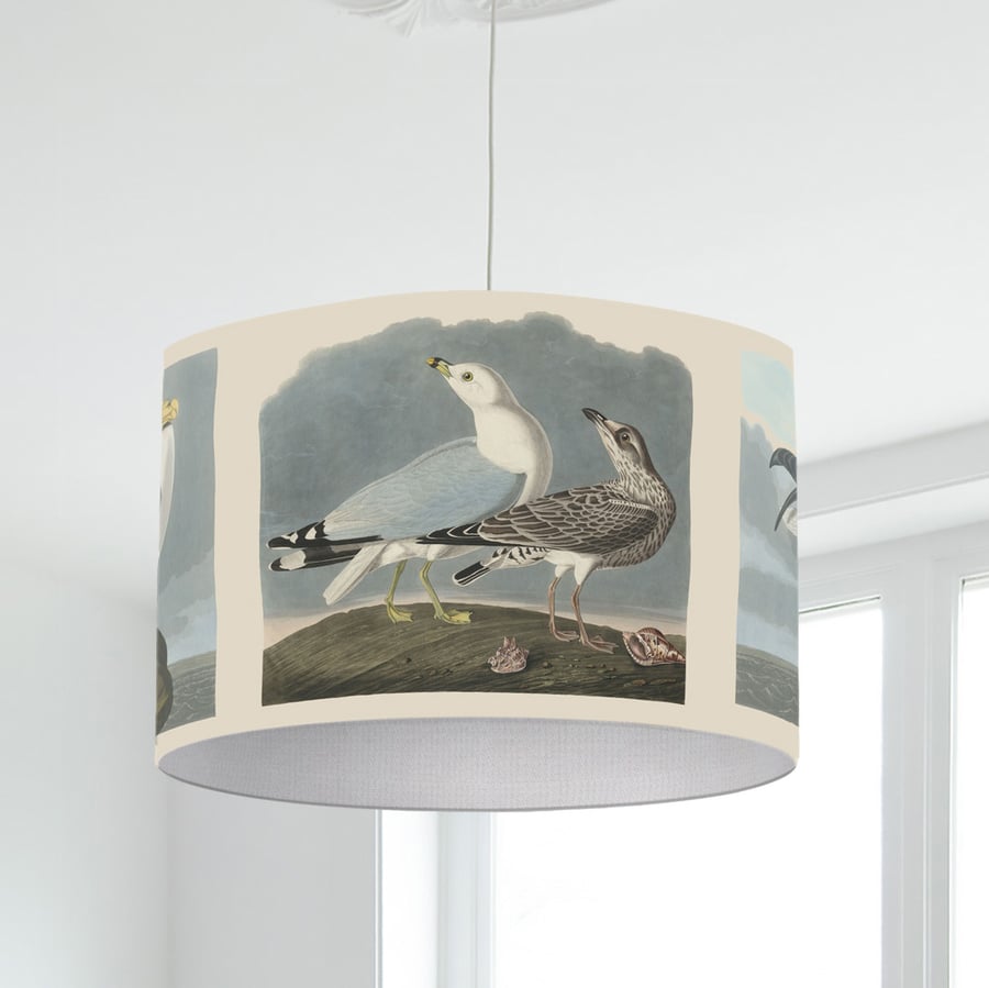 Seagull Lampshade - Coastal Lampshade - Seagull Illustration Lampshade