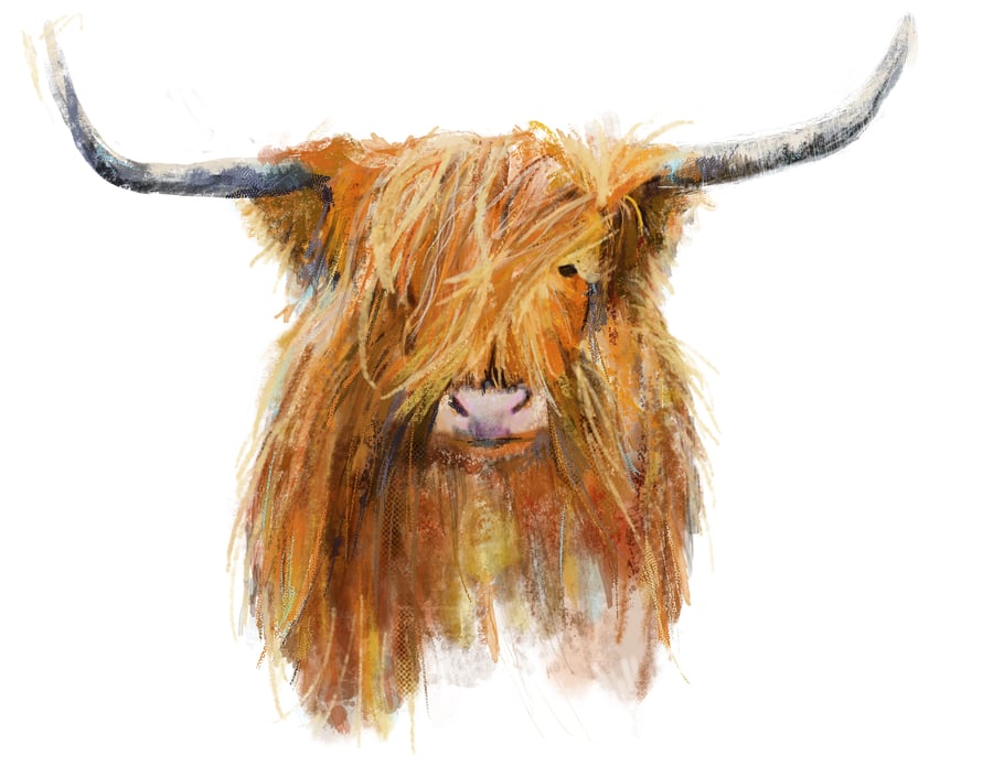 Highland Cow Greetings Card