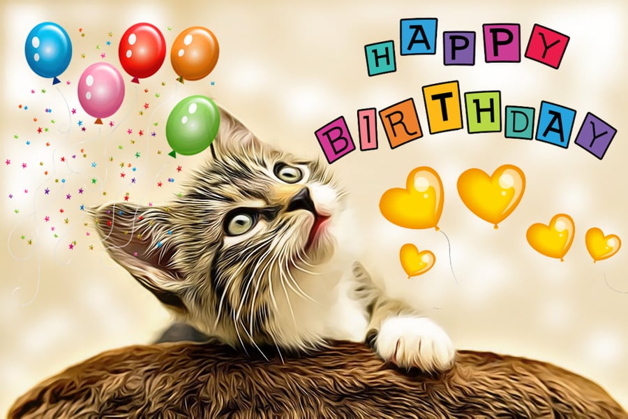 Kitten Happy Birthday Card A5