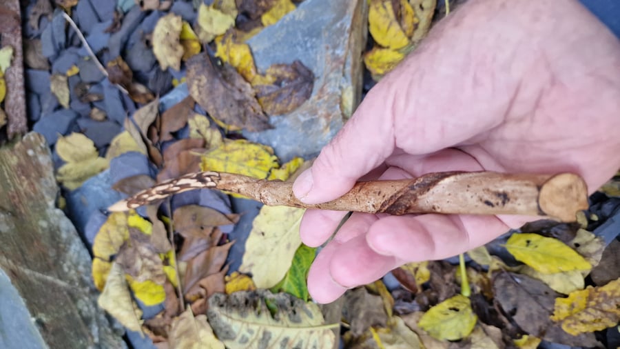 Hazel wand, Witch wand, Druid wand, Spiritual Altar tool 