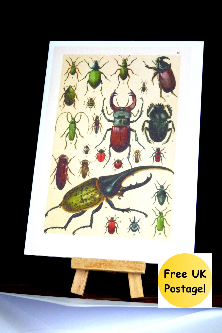Bugs! Birthday card featuring vintage illustrat... - Folksy