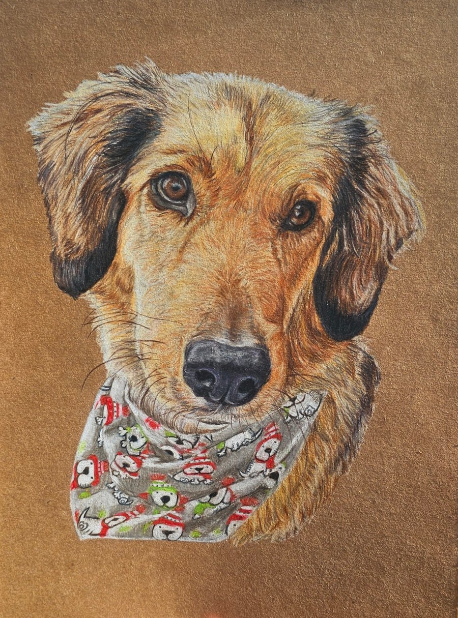 A4 pet portrait drawing