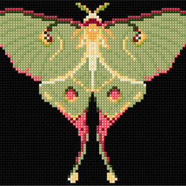 Luna Moth Counted Cross-stitch Kit, Embroidery, Nature, Gift Box