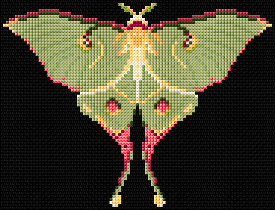 Luna Moth Counted Cross-stitch Kit, Embroidery, Nature, Gift Box