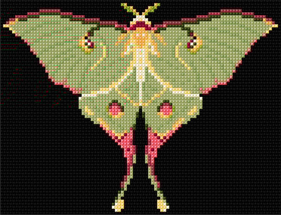 Luna Moth Counted Cross-stitch Kit, Embroidery, Nature, Gift Box