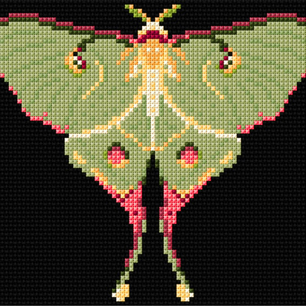 Luna Moth Counted Cross-stitch Kit, Embroidery, Nature, Gift Box