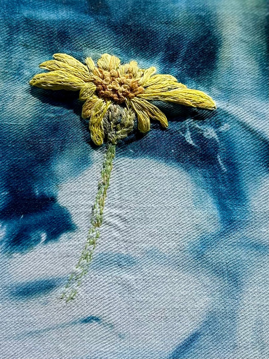 Plants for pollinators 2 - Ragwort 1 - Cyanotype & stitch - Eco Textile Art