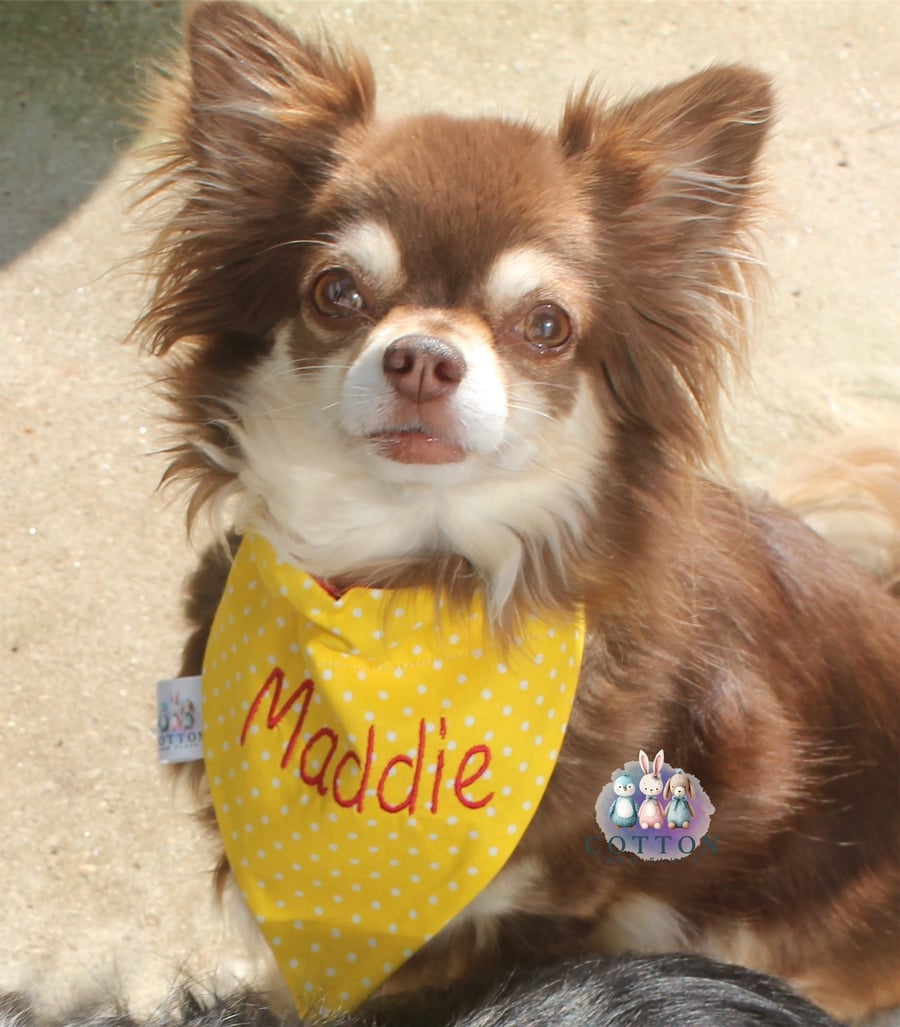 Personalised Dog Bandana