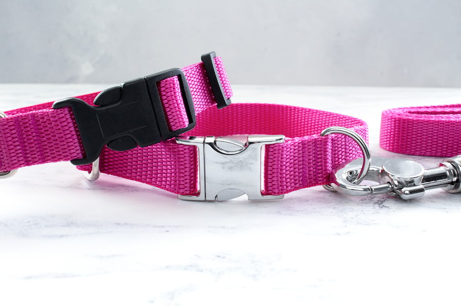 Plain Webbing Dog Collar - Pink