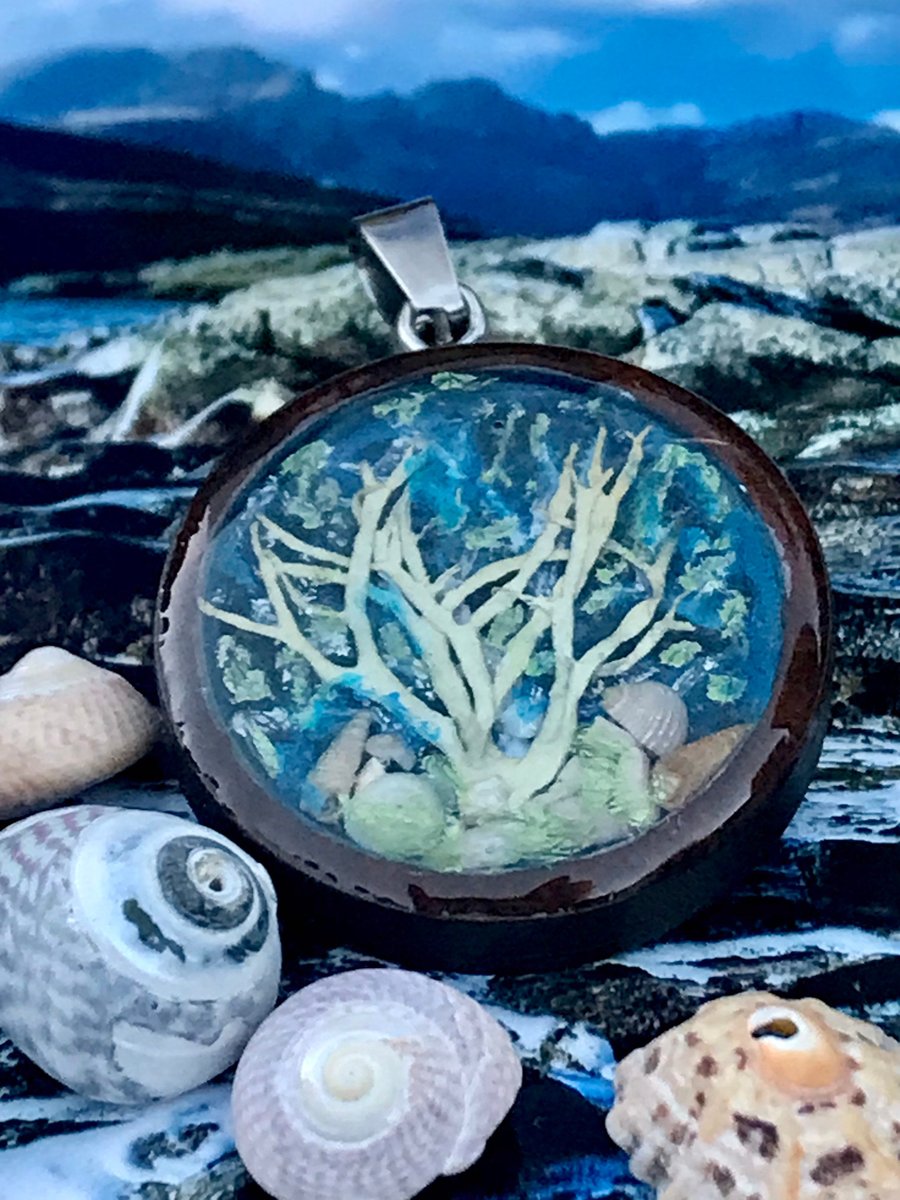 Sea fairy Winter Wonderland Rockpool Garden REAL Seaweed Pendant Art