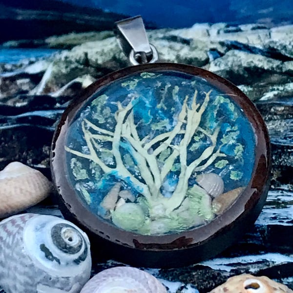 Sea fairy Winter Wonderland Rockpool Garden REAL Seaweed Pendant Art