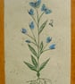 Butterfluttillary lino cut print - Image 3