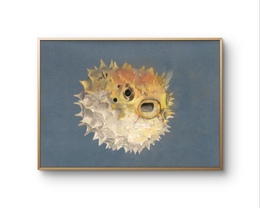 Realistic Puffer Fish Print - Pastel Pencil Drawing