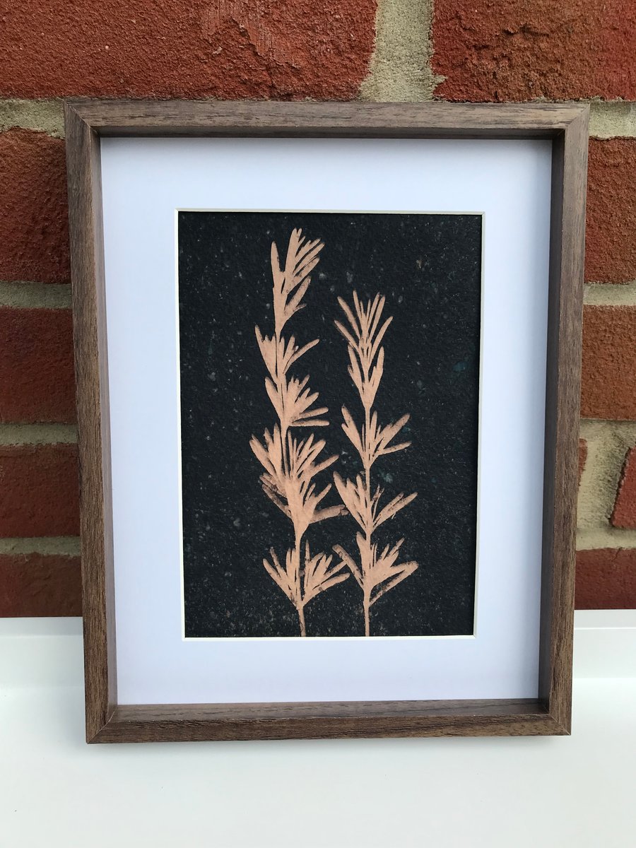 Original Art, Rosemary, a Tea-Toned Cyanotype Photogram
