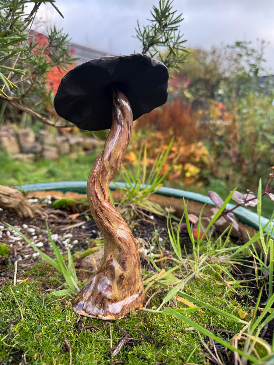 Molten coppery shroom