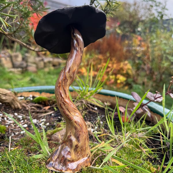 Molten coppery shroom