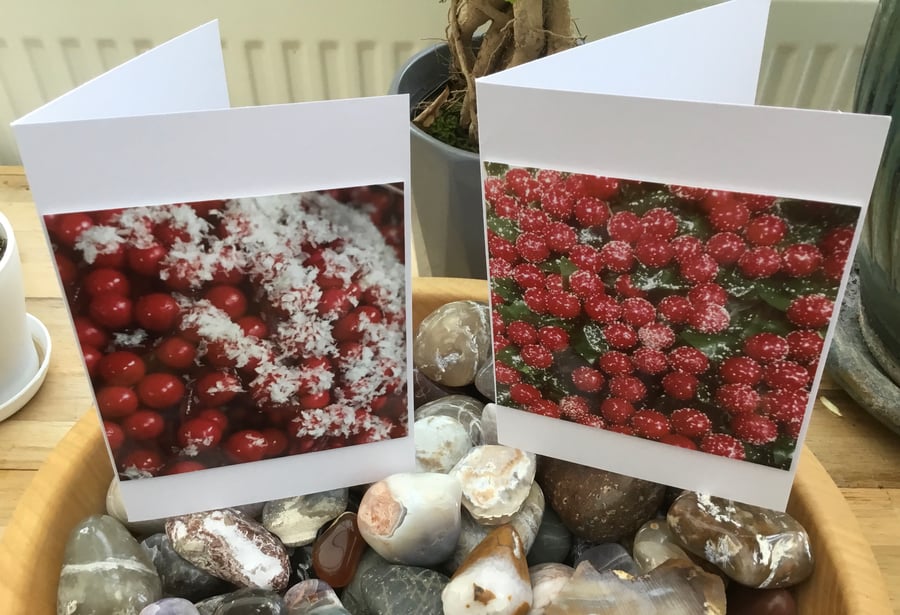 Frosted Berries Duo! Set of Two Photographic Blank Greetings Card for Christmas.